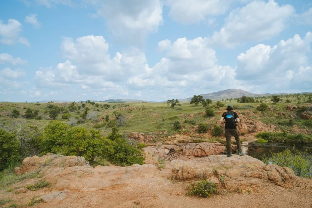 Mountain House Homestyle Chicken Noodle Casserole Pro-Pak - 1 Serving - Image 4